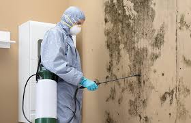 Mold Removal for HVAC Installations in La Vale, MD